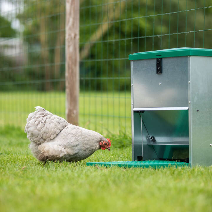 Feedomatic Futterautomat